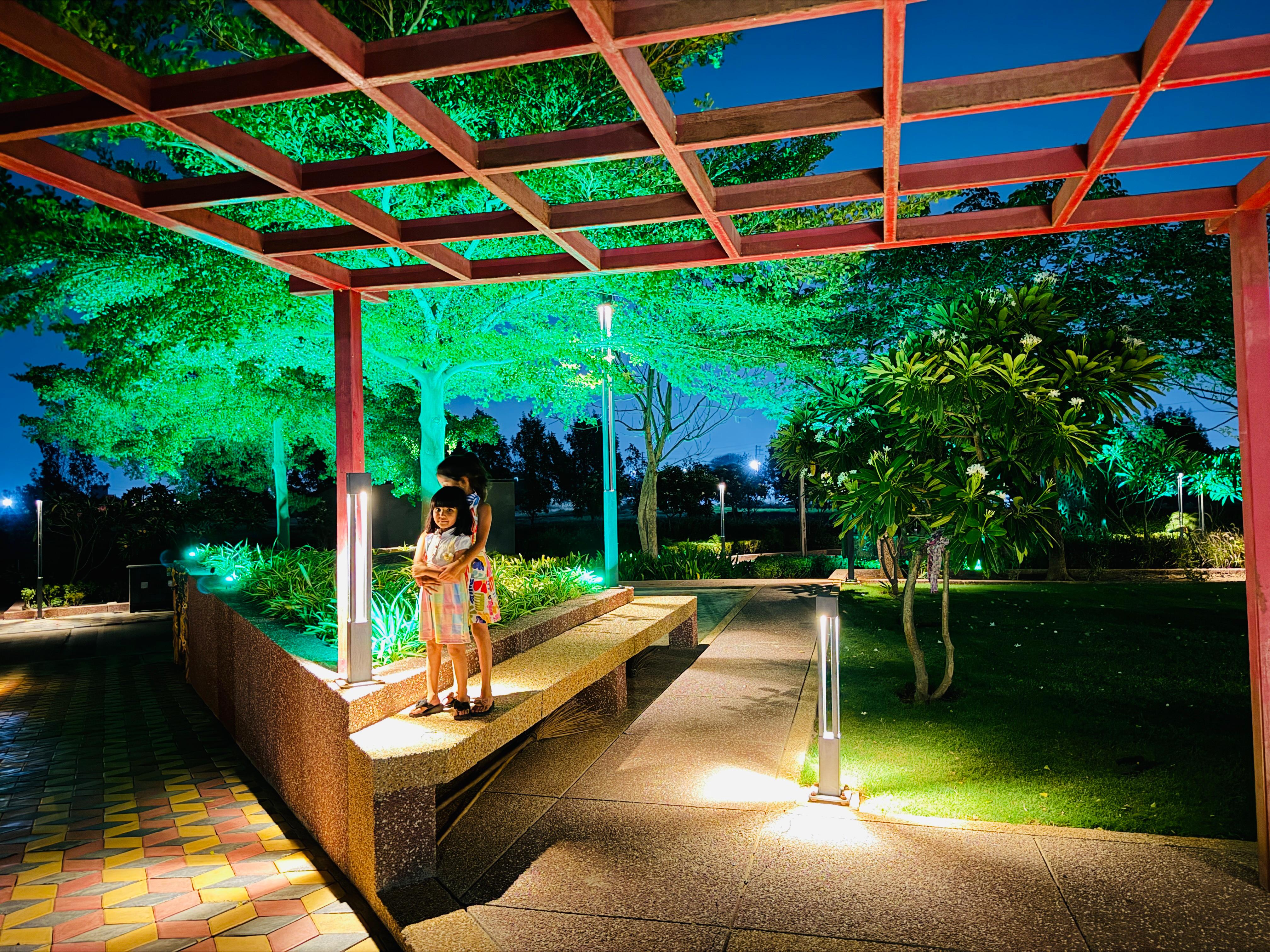 Plot Overview